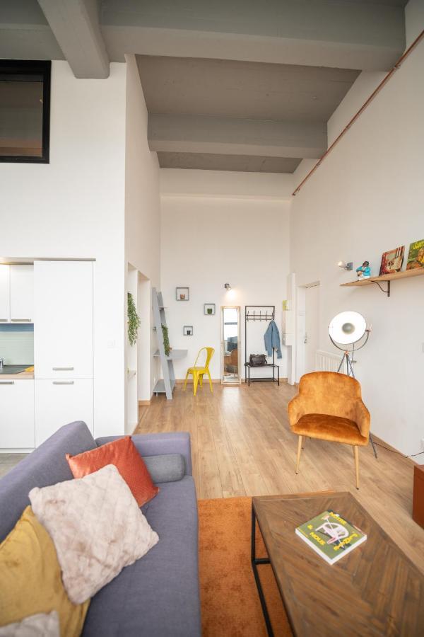 סן-אטיין Welcome Loft מראה חיצוני תמונה
