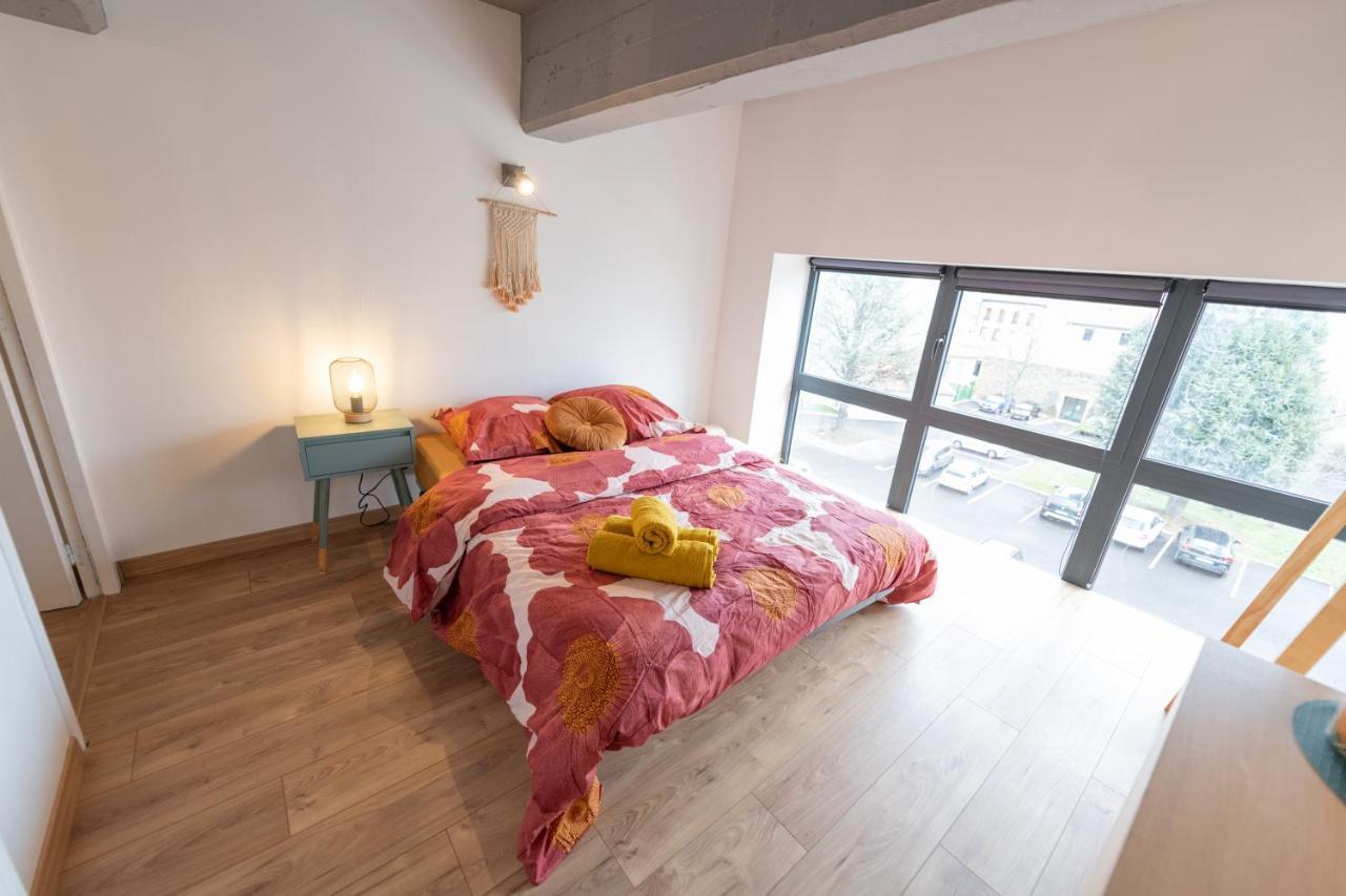 סן-אטיין Welcome Loft מראה חיצוני תמונה