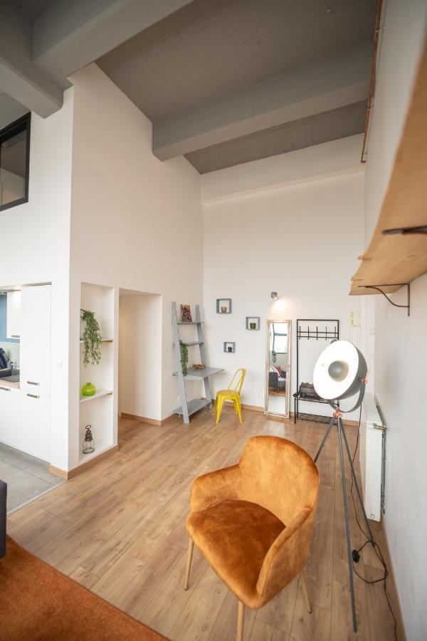 סן-אטיין Welcome Loft מראה חיצוני תמונה